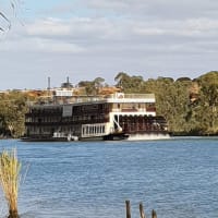 Photo by Michelle D.