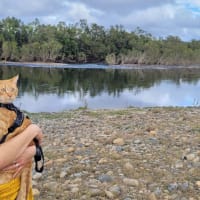 Photo by Sanchia Keeleigh Gray