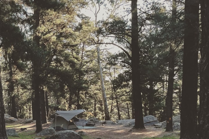 Photo by The Midweek Escape Artist