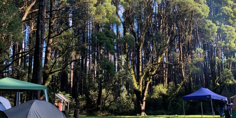 Photo by A chaser of sunsets, ocean, waterfalls etc.