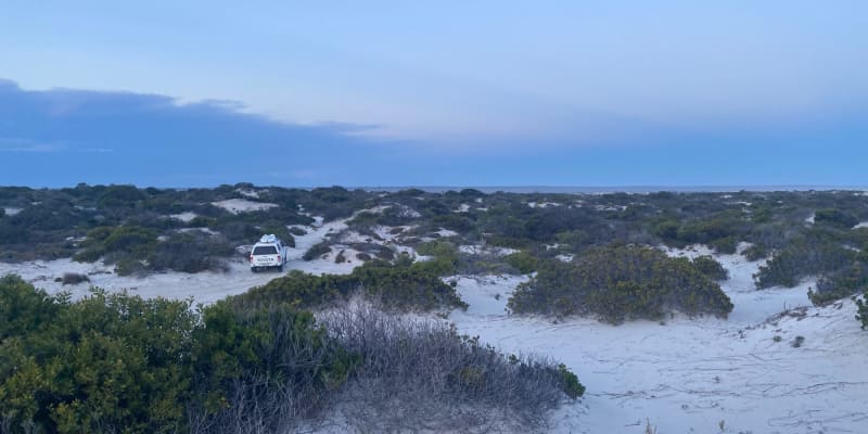 Photo by Elisabeth D.