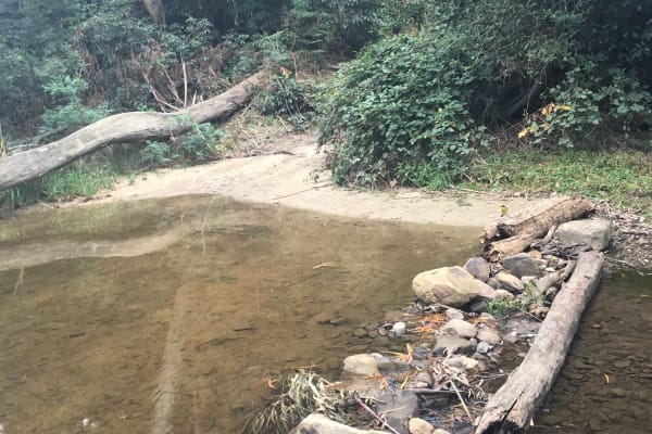 Photo by YoungAdventuresAust