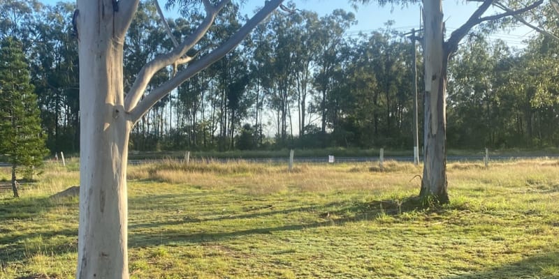 Photo by charlotte m.