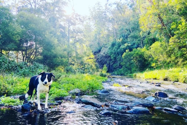 Photo by Rhiannon K.