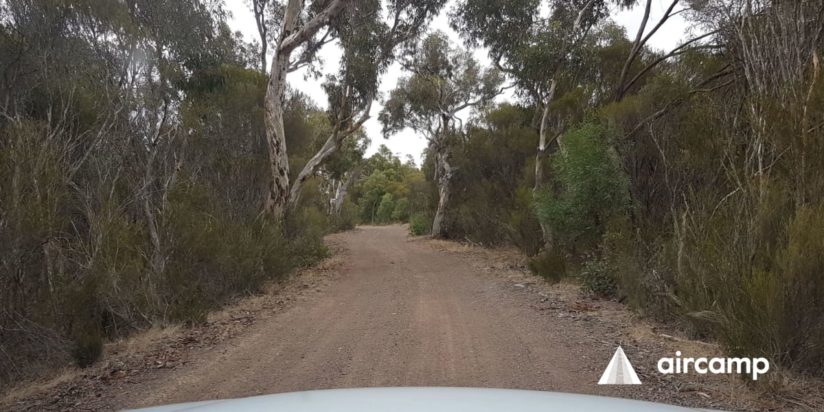 Mount Monster Conservation Park Anycamp