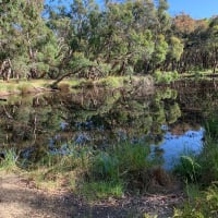 Photo by Gabrielle E.