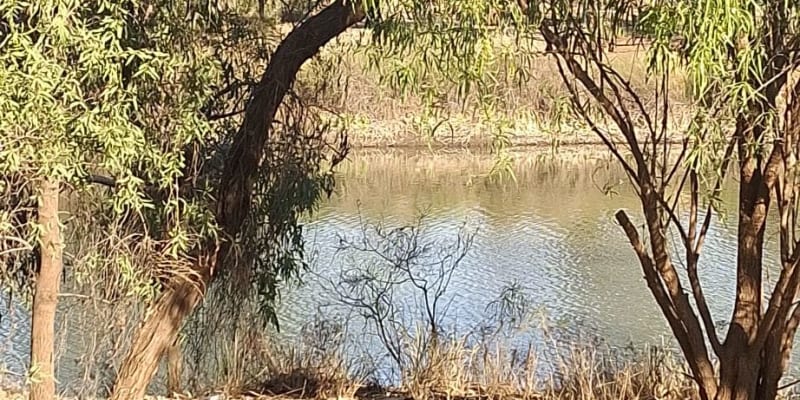 Photo by Caroline S.