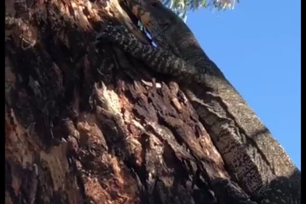 Photo by Kristine B.