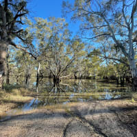 Photo by DaveDuff    CampInNature