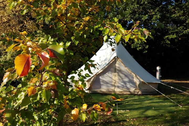 Photo by Fränzi and Tom - Jamieson Caravan Park