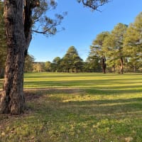 Photo by Michelle H.