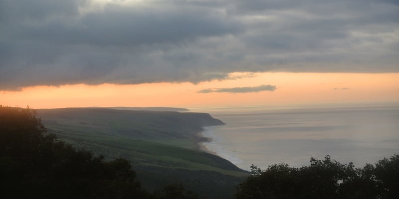 Photo by Brucethegoose