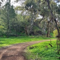 Photo by Nickolas S.