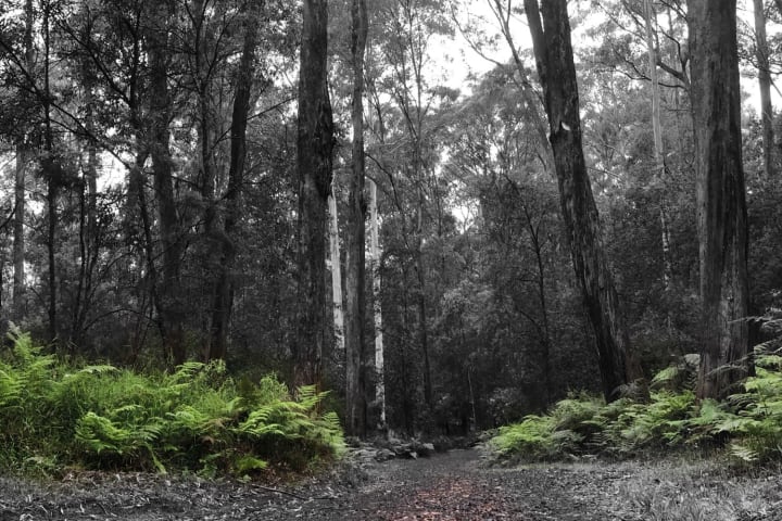 Photo by Theo Janse van Nieuwenhuizen