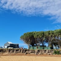 Photo by Schalk van der Westhuizen