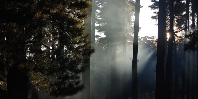 Photo by Brucethegoose