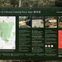 Photo by Peter pumpkin eater