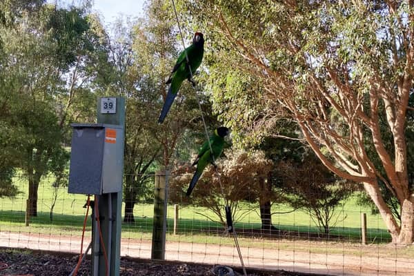 Photo by Colin van den Hoff