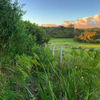 Photo by Argadita G.