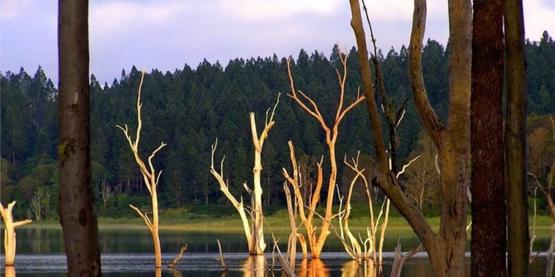 Photo by Genazzano R.