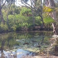 Photo by Colin van den Hoff