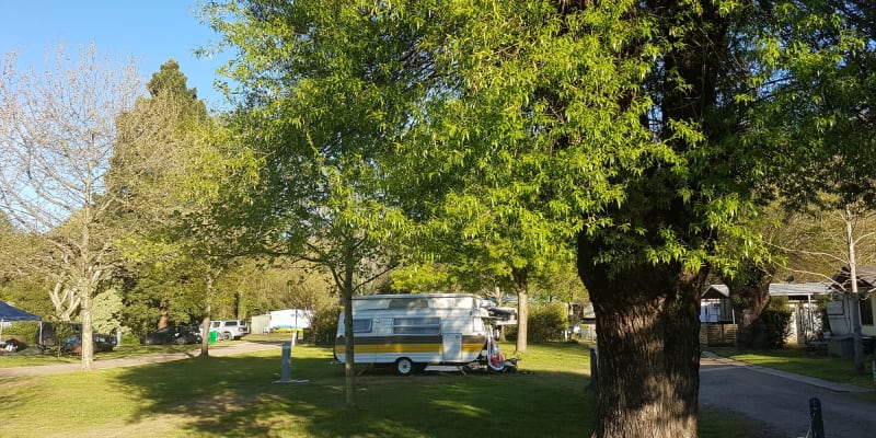 Photo by Fränzi and Tom - Jamieson Caravan Park