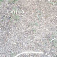 Photo by Hans Mestizo Reyes