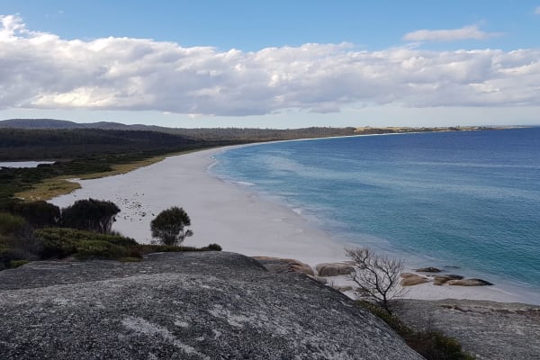 Photo by Christopher H.