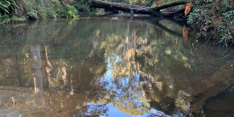 Photo by Brooklyn E.