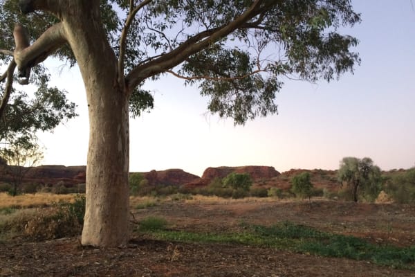 Photo by Caroline S.