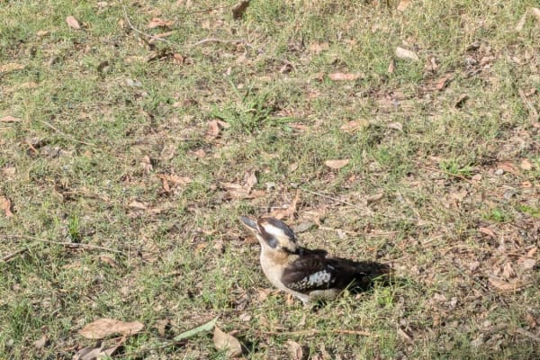 Photo by GetMeOffGrid