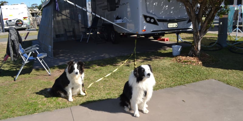 Photo of Reflections Holidays North Haven