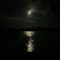 Photo by Gabrielle s.