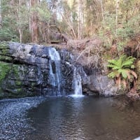 Photo by Sanchia Keeleigh Gray