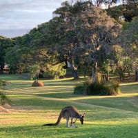 Photo by Ashleigh S.