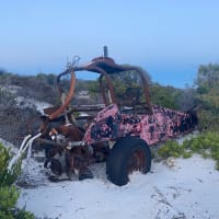 Photo by Elisabeth D.