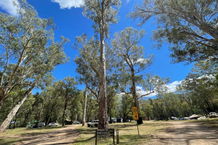 Photo by red truck reviews