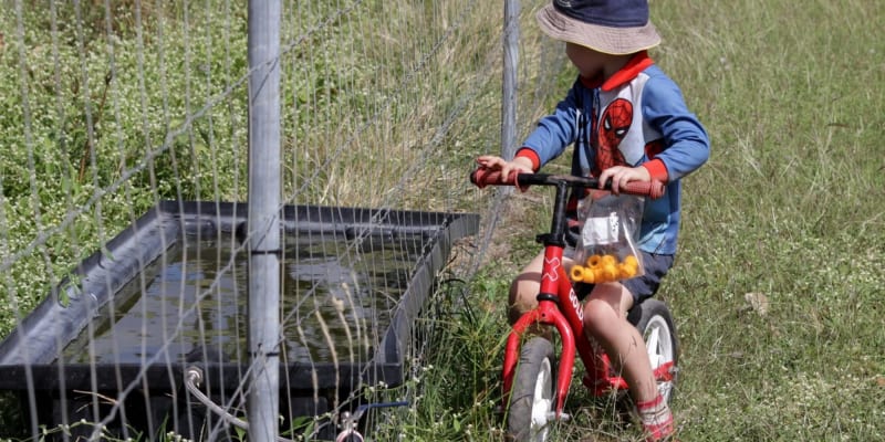 Photo by Mountview farm stay