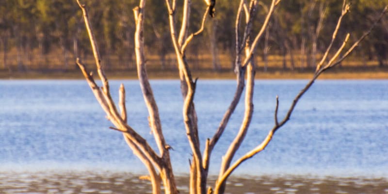 Photo of Lake Elphinstone