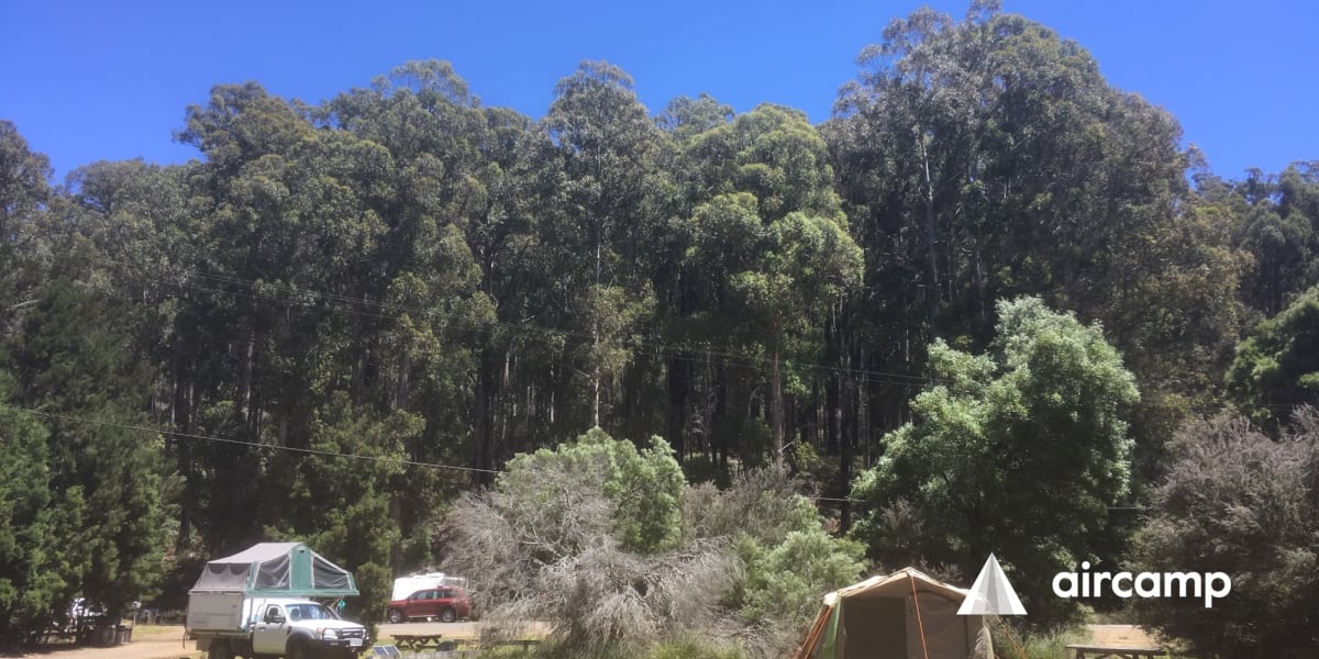 Mount Field National Park Campground