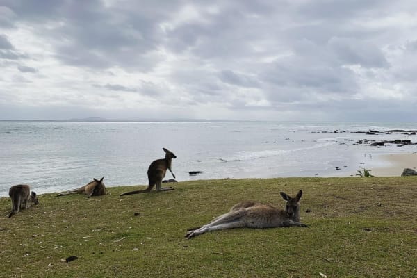 Photo by Mercedes W.