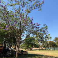 Photo by Marcia Christine Baker