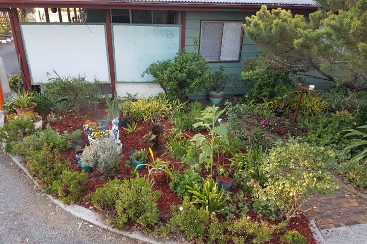 Photo by Michelle C.