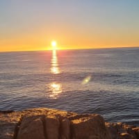 Photo by Sanchia Keeleigh Gray