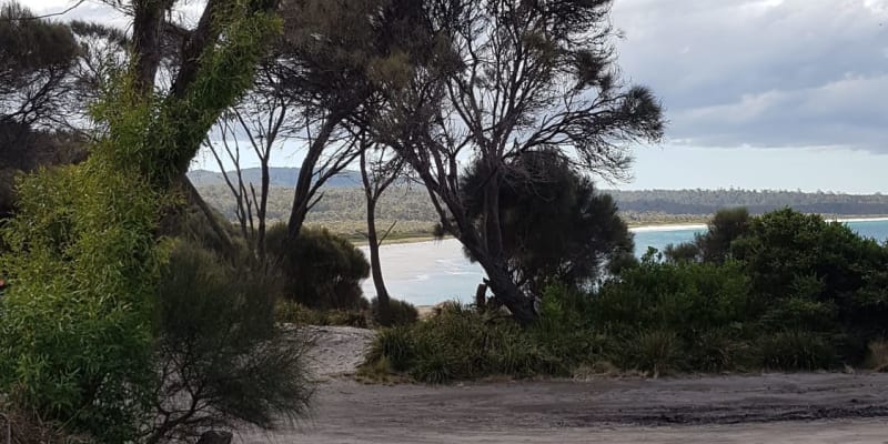 Photo by Christopher H.