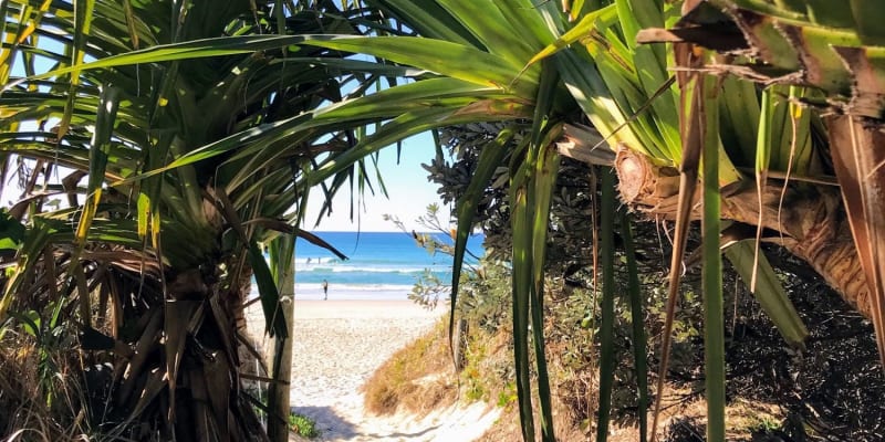 Photo by Alistair C.