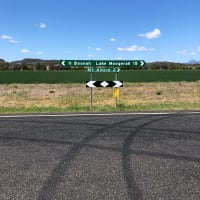 Photo by Roosevelt D.