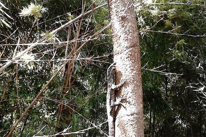 Photo by Tracy N David Ross