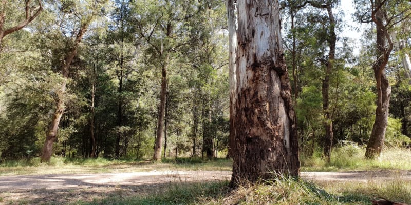 Photo by Renee Lea Jean