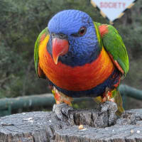 Photo by Erwin Van Den Bosch